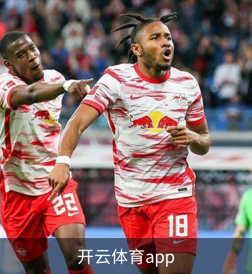 开云体育app简介